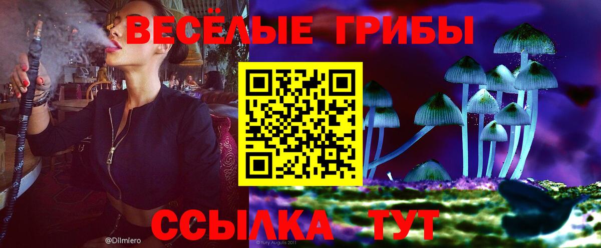 Галлюциногенные грибы ЛСД  Вход с VPN  Кириши 